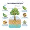 Phytoremediation as plant based approach for bioremediation outline diagram