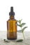 Phytotherapy - Eucalyptus essential oil