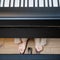 The pianist s foot presses the pedal of the electric piano. Piano and pe