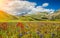 Piano Grande summer landscape, Umbria, Italy