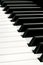 Piano Keyboard