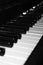 Piano keyboard. Black and white.