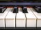 The piano keyboard with black and white keys and notes. Music and sound.