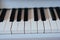 piano keyboard close up. White and black keys of instrument
