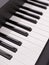 Piano Keyboard Closeup. Music Background Concept