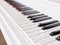 Piano Keyboard Closeup. Music Background Concept