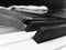 Piano keyboard keys black-and-white fingers pianist keyboardist
