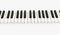 Piano keyboard rendered on white