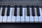 Piano keybord image.Fancy keybord.Flower on a piano keybord.Black and white keybord