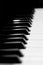 Piano keys closeup monochrome