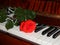Piano keys flowers music