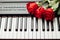 Piano keys and red roses