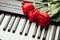 Piano keys and red roses