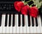 Piano keys and red roses