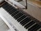 Piano keys wood brown