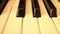 PIANO-ORGAN KEYS (Dolly Move) - Faster dolly along keys of organ