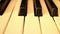 PIANO-ORGAN KEYS (Dolly Move) - Faster dolly along keys of organ