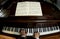 Piano Teacher Playing Wide Angle