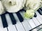 Piano and white roses. music and flower.