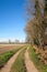 Pianura Padana panorama landscape fields crops nature agriculture vision sky horizon Italy Italian