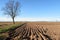 Pianura Padana panorama landscape fields crops nature agriculture vision sky horizon Italy Italian