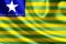 Piaui flag illustration