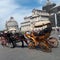 Piazza dei Miracoli, carriage, horse and buggy, mode of transport, chariot