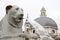 Piazza del Popolo Rome. Fontaine