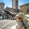 Piazza Vecchia in Citta Alta, Bergamo, Italy