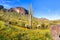 Picacho Peak State Park