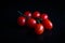 Piccadilly tomato bunch. Fresh juicy sweet tomatoes for traditional Mediterranean cuisine. Black background.