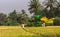 Pick thresher, in rice field, Ayodhya, Karnataka, India