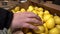 Pick up the fruit at the store. Man chooses fresh CITRUS to buy.