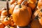 Pick your own variety of pumpkins at the pumpkin patch.