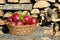 Picked apples in basket