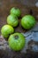 Picked Green guava whole fruit on ground. Indian Organic Farms