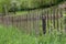 Picket fences