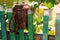 Pickets of old wooden fence. Abstract background with selective focus