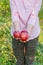 Picking apples. Harvesting apples. Woman with apples in the garden