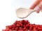 Picking Goji Berries with Spoon