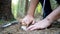 Picking mushrooms in forest