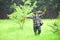 Picking mushrooms in rain. Grandpa Pensioner. Senior hiking in rainy forest. Summer and hobbies.