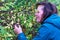 Picking sloes in Denaby Ings 3, Doncaster, England.