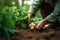 picking young potatoes in ground generative ai