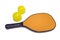 Pickleball Paddle and Two Balls