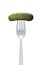Pickled gherkin on fork