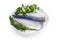 Pickled mackerel fillets with fresh parsley and dill on dish