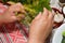 Pickling cucumbers, pickling - hands close-up, cucumber, herbs,