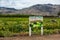 PICKLING CUKES and Dill Weeds fields sign