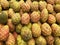 Pickly pear cactus fruits displayed in medina souks in Morocco